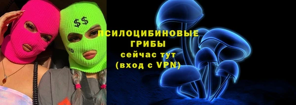 spice Михайлов