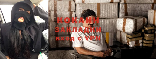 крисы Михайловск